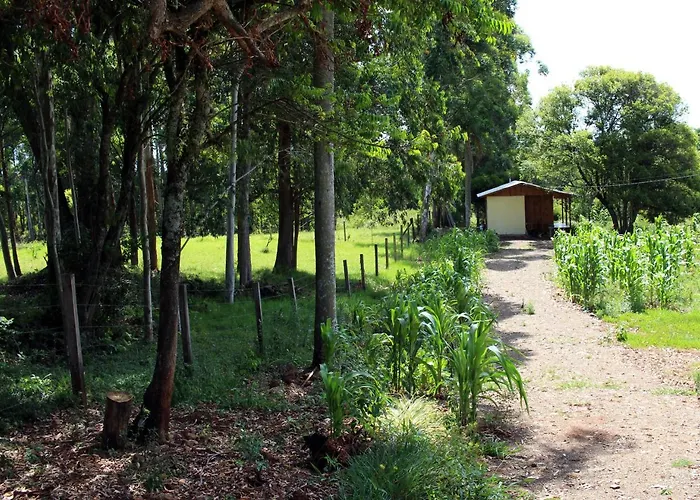 Cabana Na Serra Gaucha!